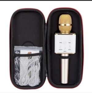 Gold and Silver Wireless Microphone with Case